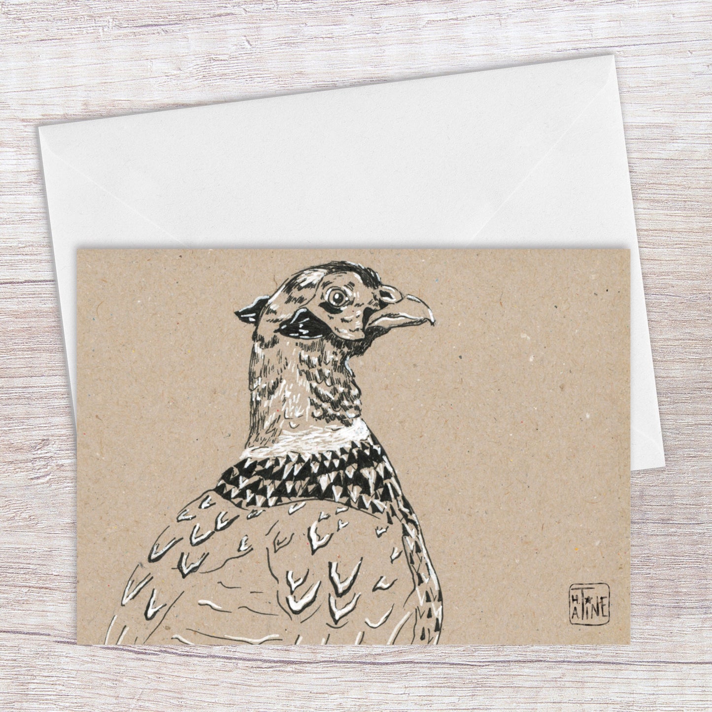 Fasan // Ring-necked pheasant